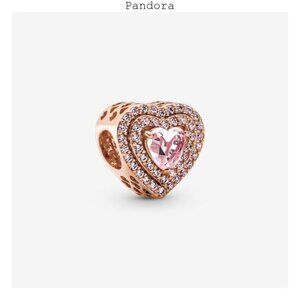 Pandora New Bracelet Charms